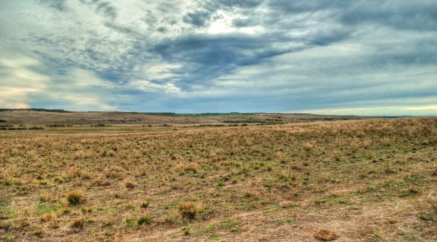 De mest populære biludlejningsaftaler i Bahía Blanca